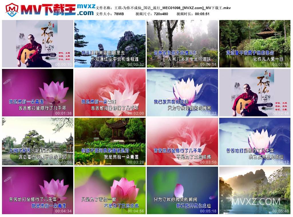 王琪-为你不成仙_国语_流行_MEC01098